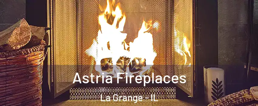  Astria Fireplaces La Grange - IL