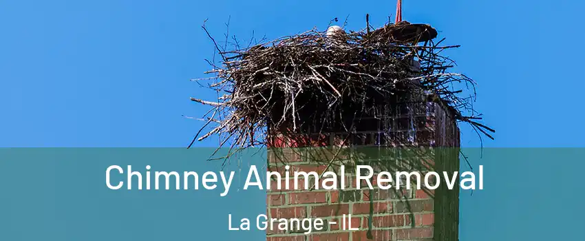 Chimney Animal Removal La Grange - IL