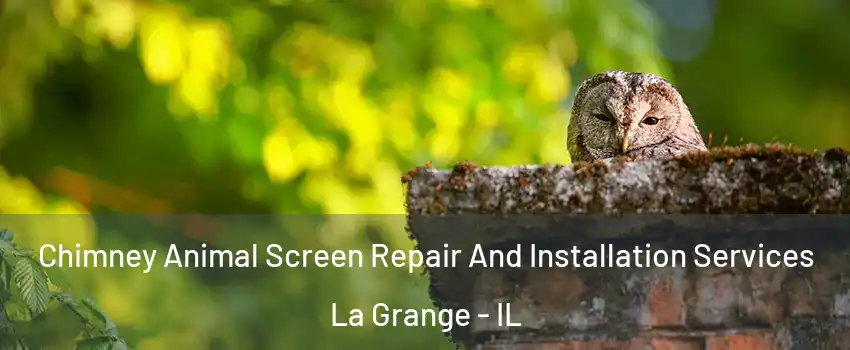  Chimney Animal Screen Repair And Installation Services La Grange - IL