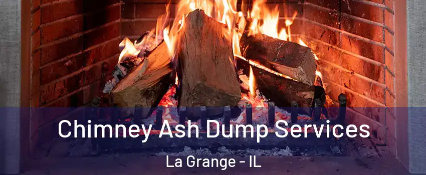  Chimney Ash Dump Services La Grange - IL