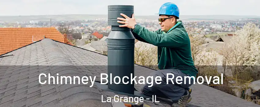  Chimney Blockage Removal La Grange - IL