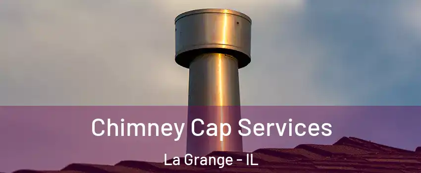  Chimney Cap Services La Grange - IL
