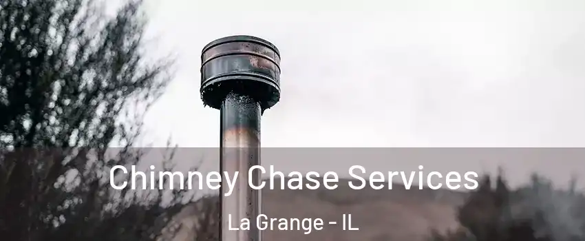  Chimney Chase Services La Grange - IL