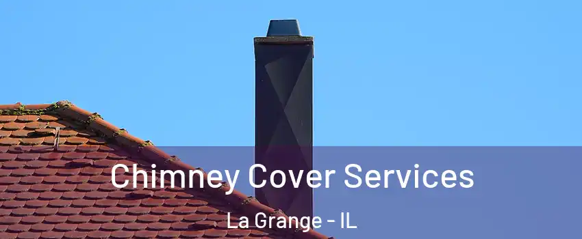  Chimney Cover Services La Grange - IL