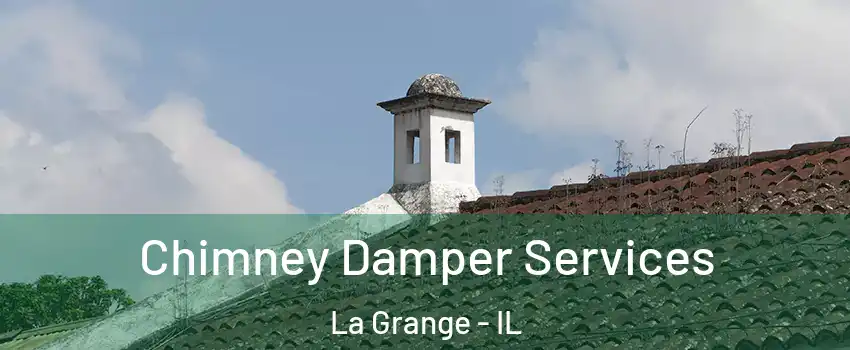  Chimney Damper Services La Grange - IL