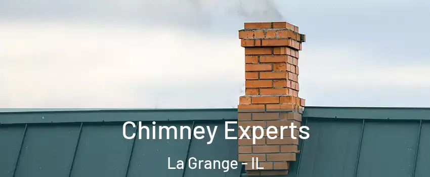 Chimney Experts La Grange - IL