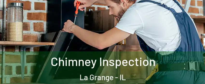  Chimney Inspection La Grange - IL