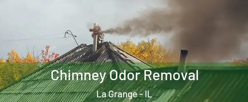  Chimney Odor Removal La Grange - IL