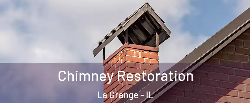  Chimney Restoration La Grange - IL