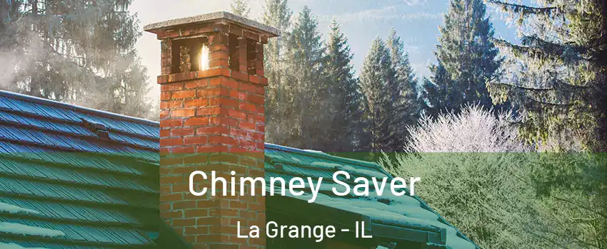  Chimney Saver La Grange - IL
