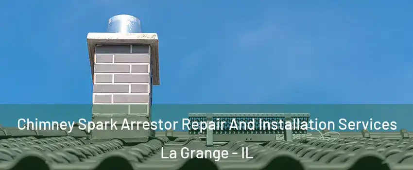  Chimney Spark Arrestor Repair And Installation Services La Grange - IL