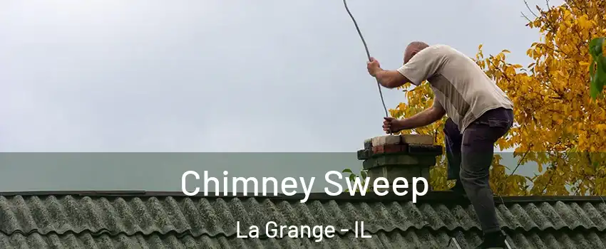  Chimney Sweep La Grange - IL