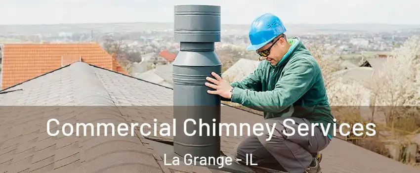  Commercial Chimney Services La Grange - IL