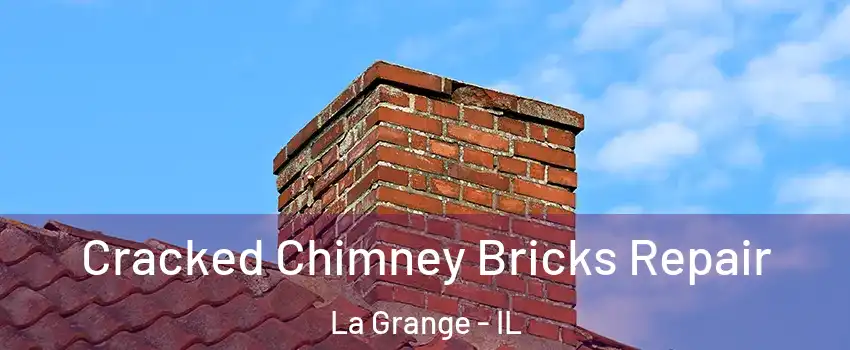 Cracked Chimney Bricks Repair La Grange - IL
