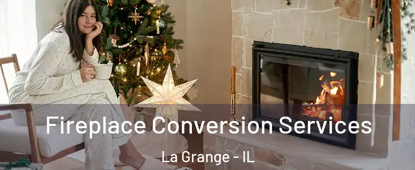  Fireplace Conversion Services La Grange - IL