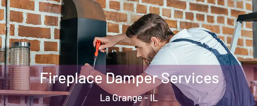  Fireplace Damper Services La Grange - IL