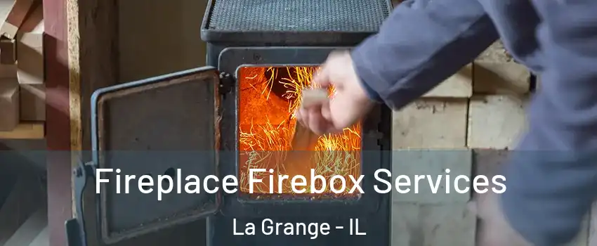  Fireplace Firebox Services La Grange - IL