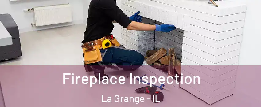  Fireplace Inspection La Grange - IL
