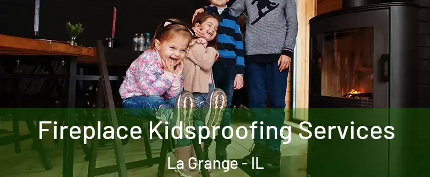  Fireplace Kidsproofing Services La Grange - IL
