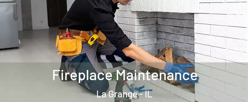  Fireplace Maintenance La Grange - IL