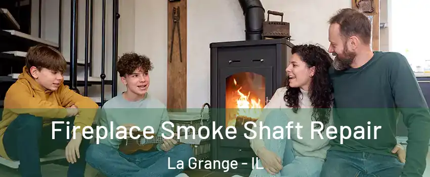  Fireplace Smoke Shaft Repair La Grange - IL