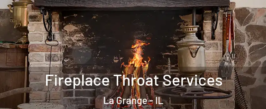  Fireplace Throat Services La Grange - IL