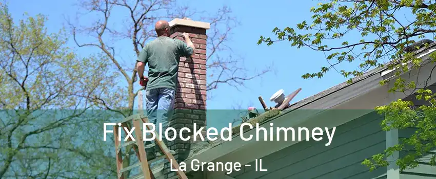  Fix Blocked Chimney La Grange - IL