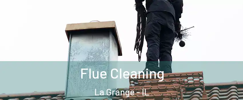  Flue Cleaning La Grange - IL