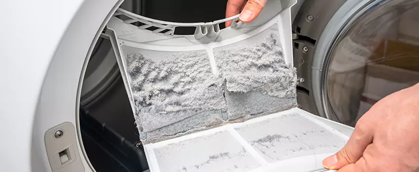 Best Dryer Lint Removal Company in La Grange, Illinois
