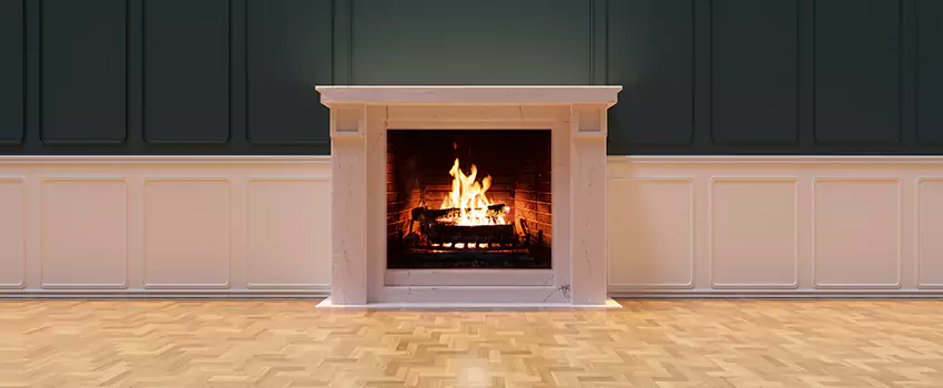 Napoleon Electric Fireplaces Inspection Service in La Grange, Illinois