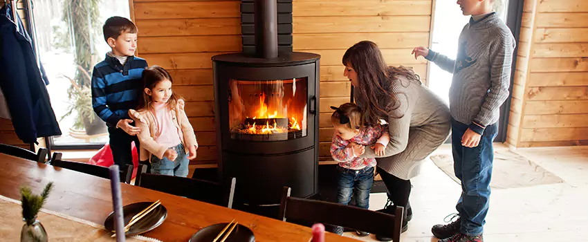 Jøtul Gas Fireplace Inspection Service in La Grange, Illinois
