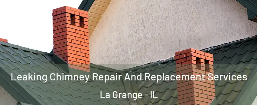  Leaking Chimney Repair And Replacement Services La Grange - IL