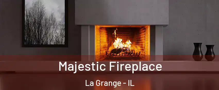  Majestic Fireplace La Grange - IL