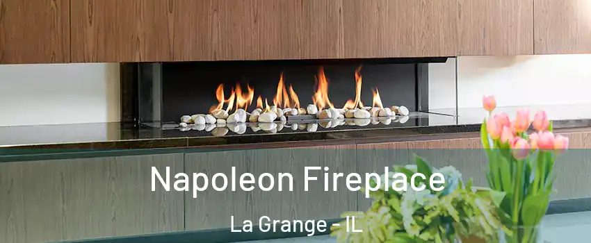  Napoleon Fireplace La Grange - IL