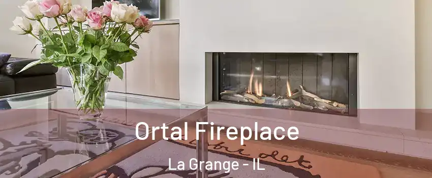 Ortal Fireplace La Grange - IL