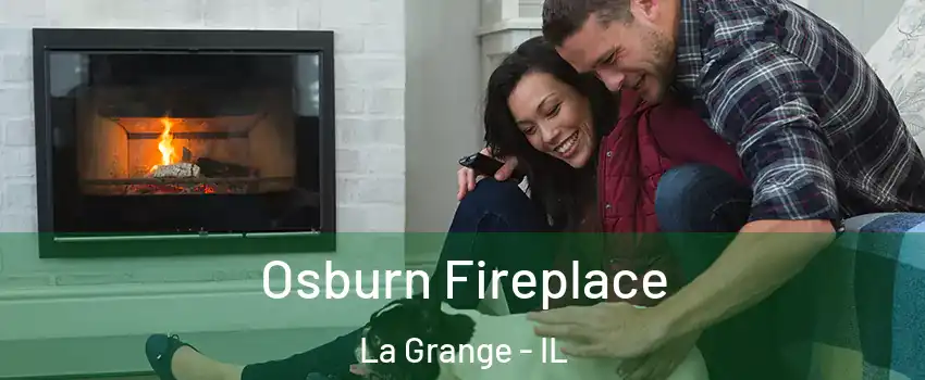  Osburn Fireplace La Grange - IL