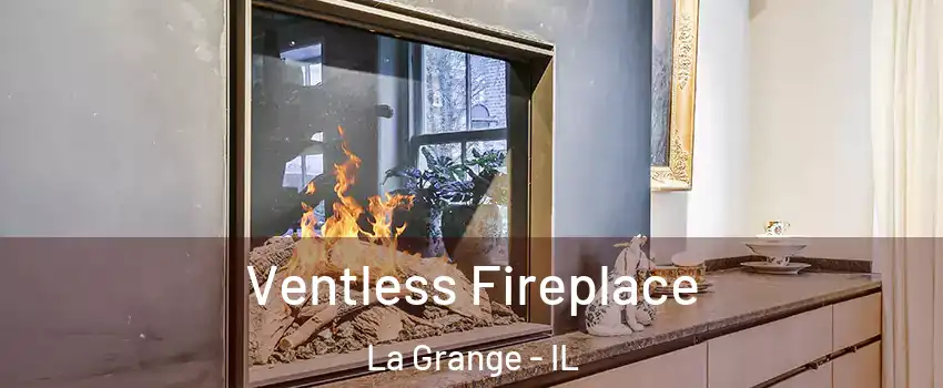  Ventless Fireplace La Grange - IL